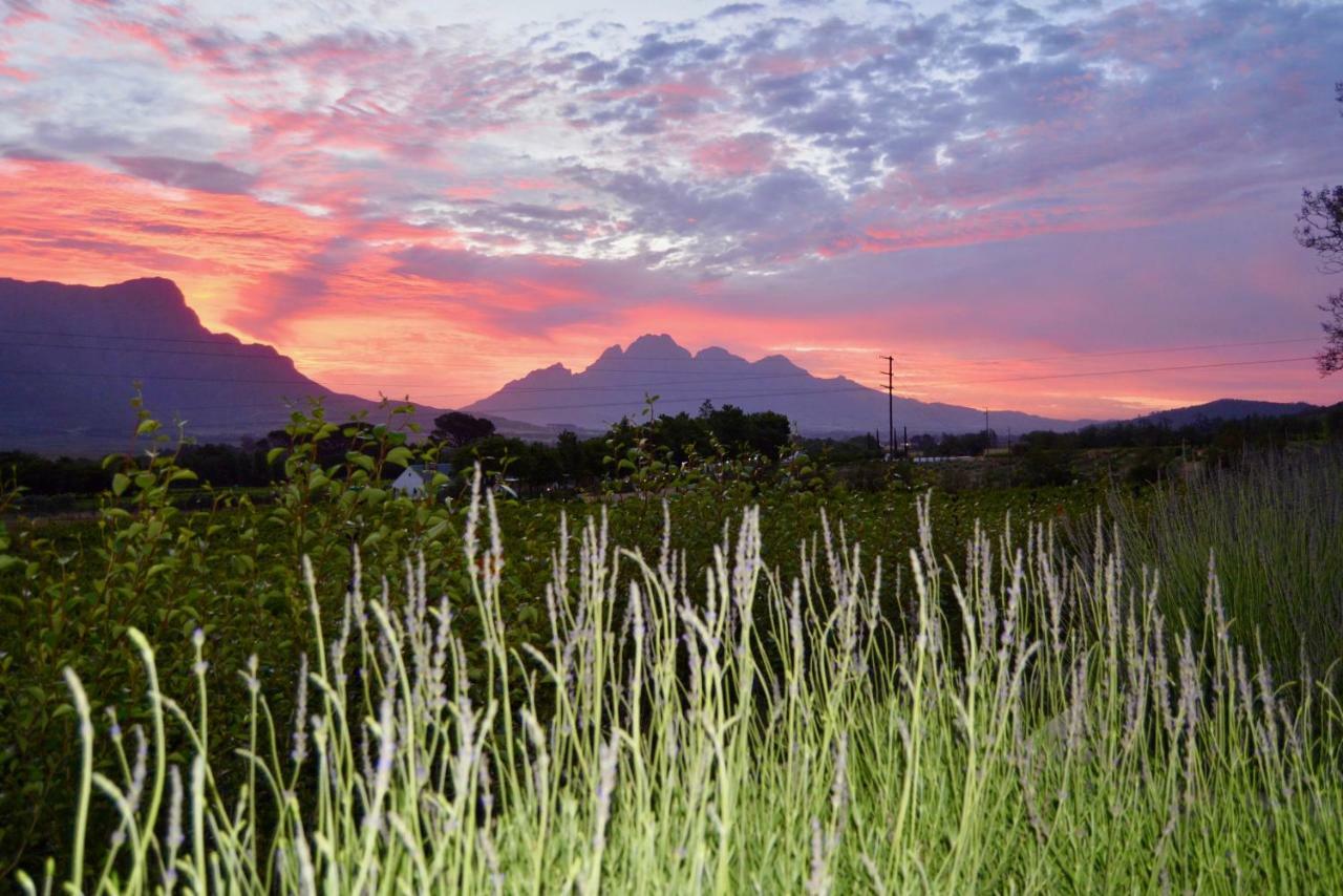 Heuwelsig Cottages Franschhoek Eksteriør bilde